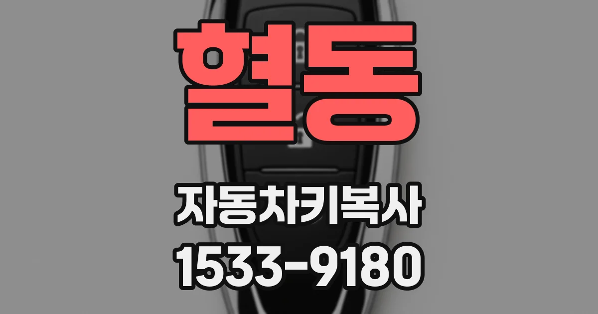혈동 자동차키복사