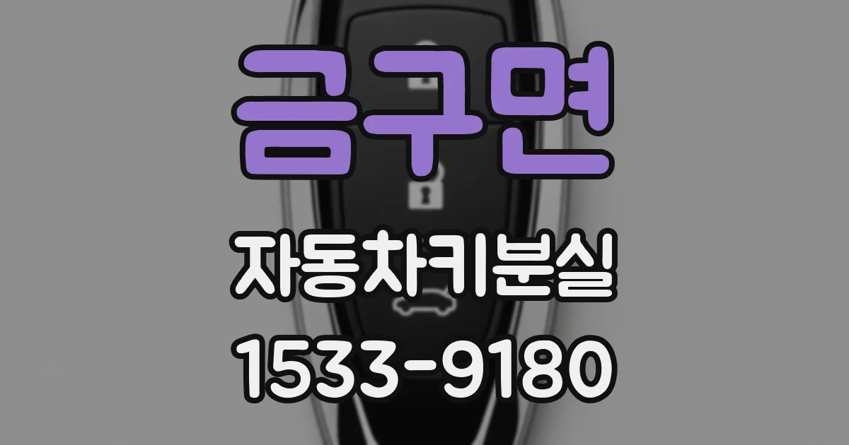 금구면 자동차키분실