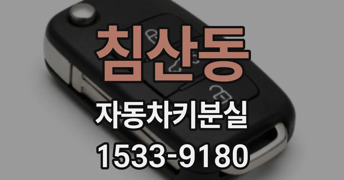 침산동 자동차키분실