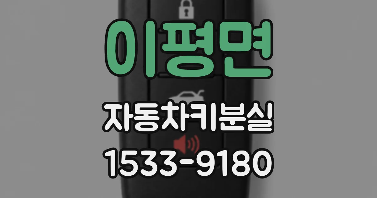 이평면 자동차키분실