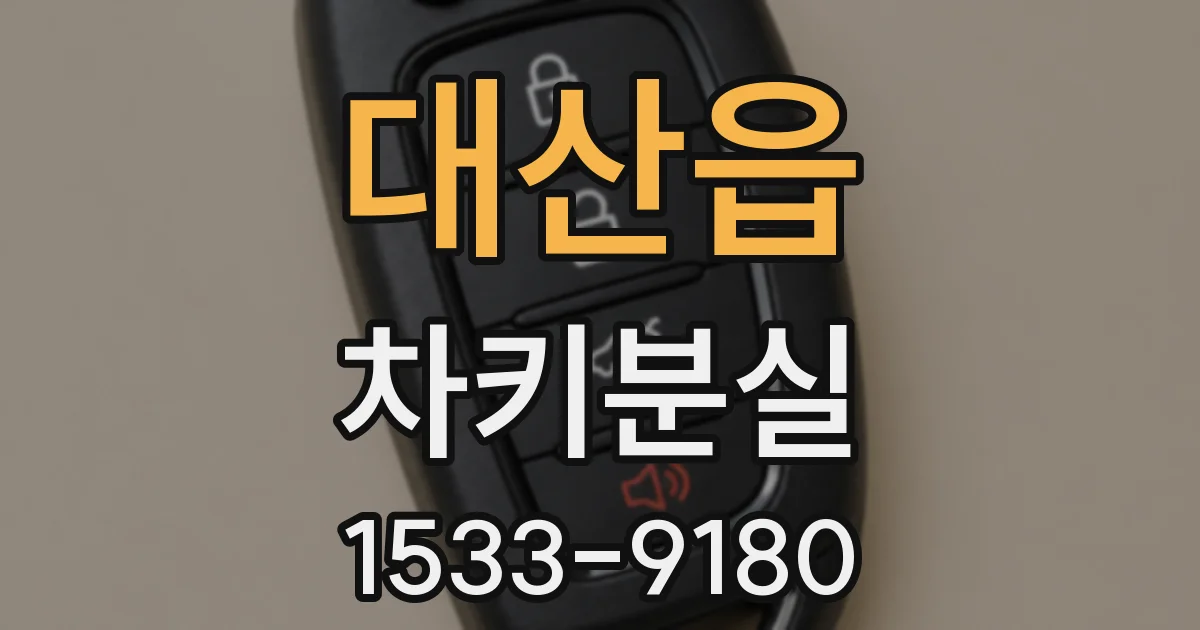 대산읍 차키분실