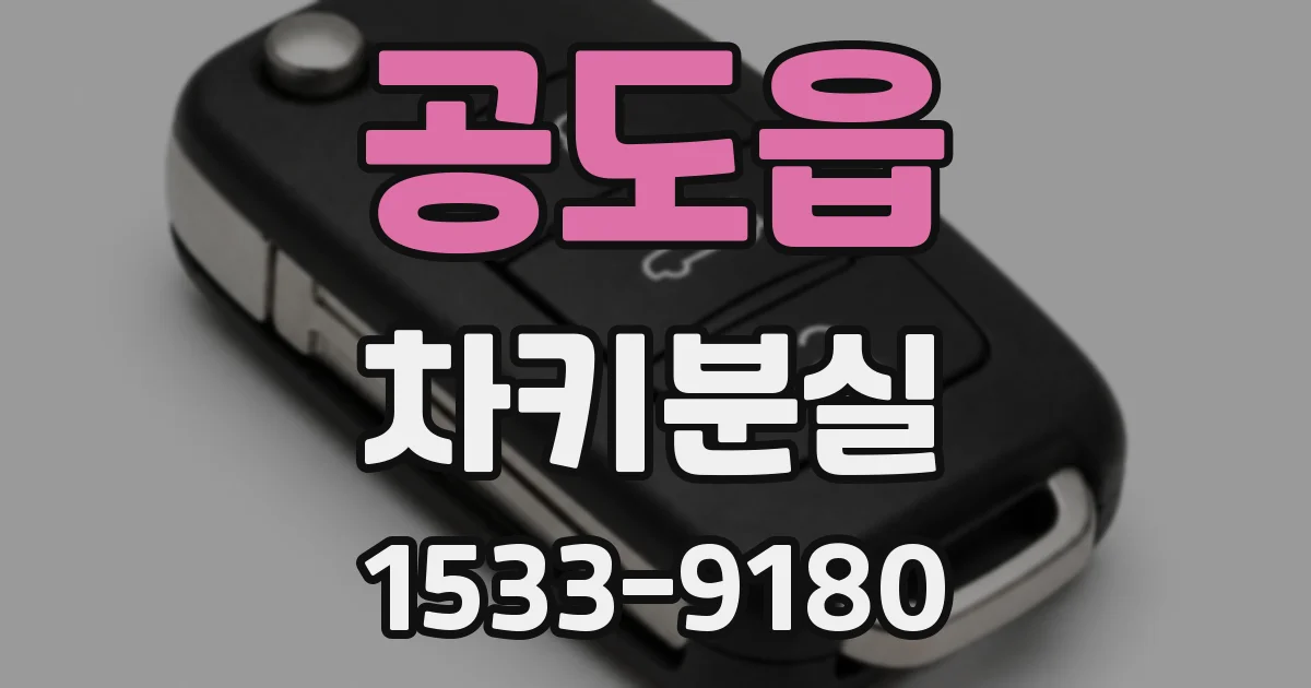 공도읍 차키분실