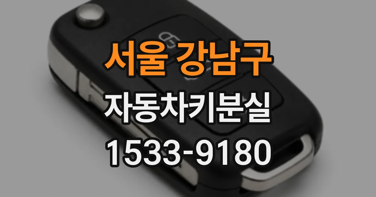 서울 강남구 자동차키분실