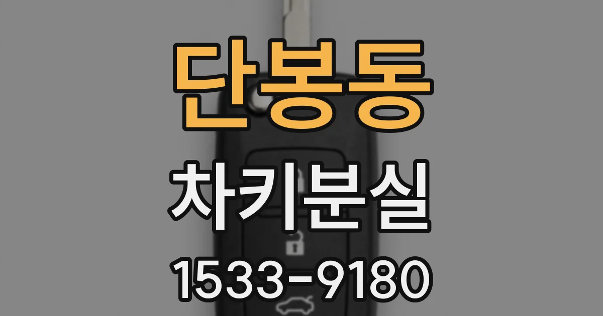 단봉동 차키분실