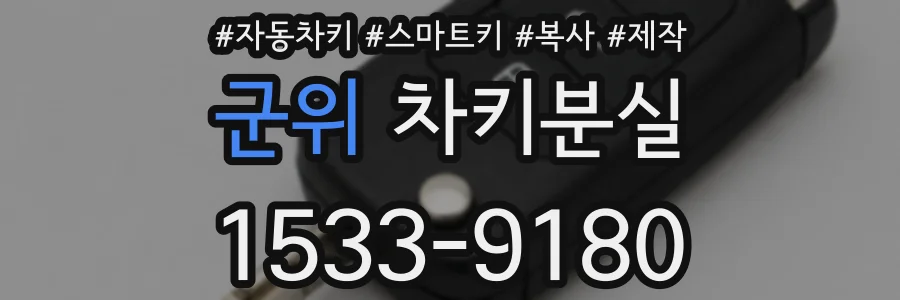 군위 차키분실