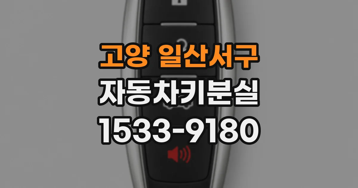 고양 일산서구 자동차키분실