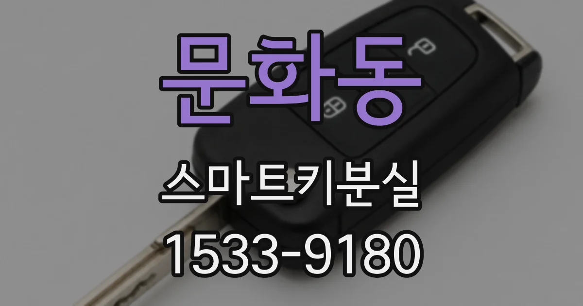 문화동 스마트키분실