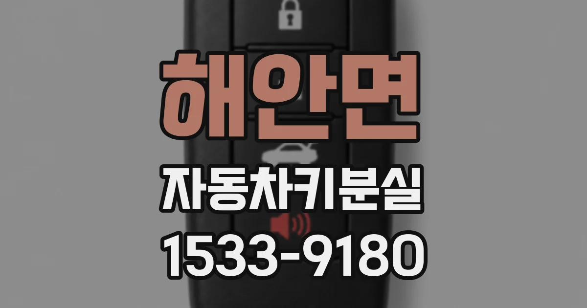 해안면 자동차키분실