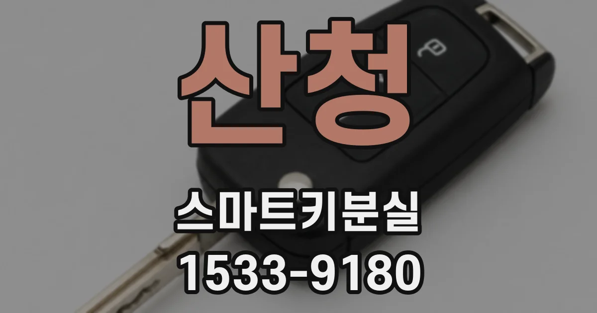 산청 스마트키분실