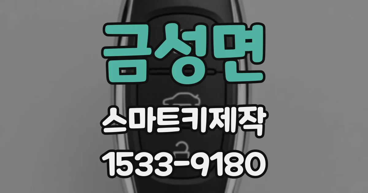 금성면 스마트키제작