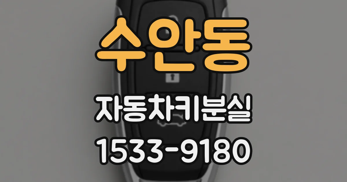 수안동 자동차키분실