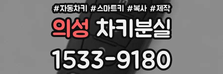 의성 차키분실