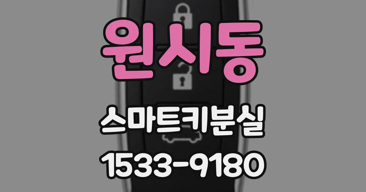 원시동 스마트키분실