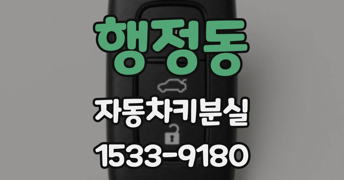 행정동 자동차키분실