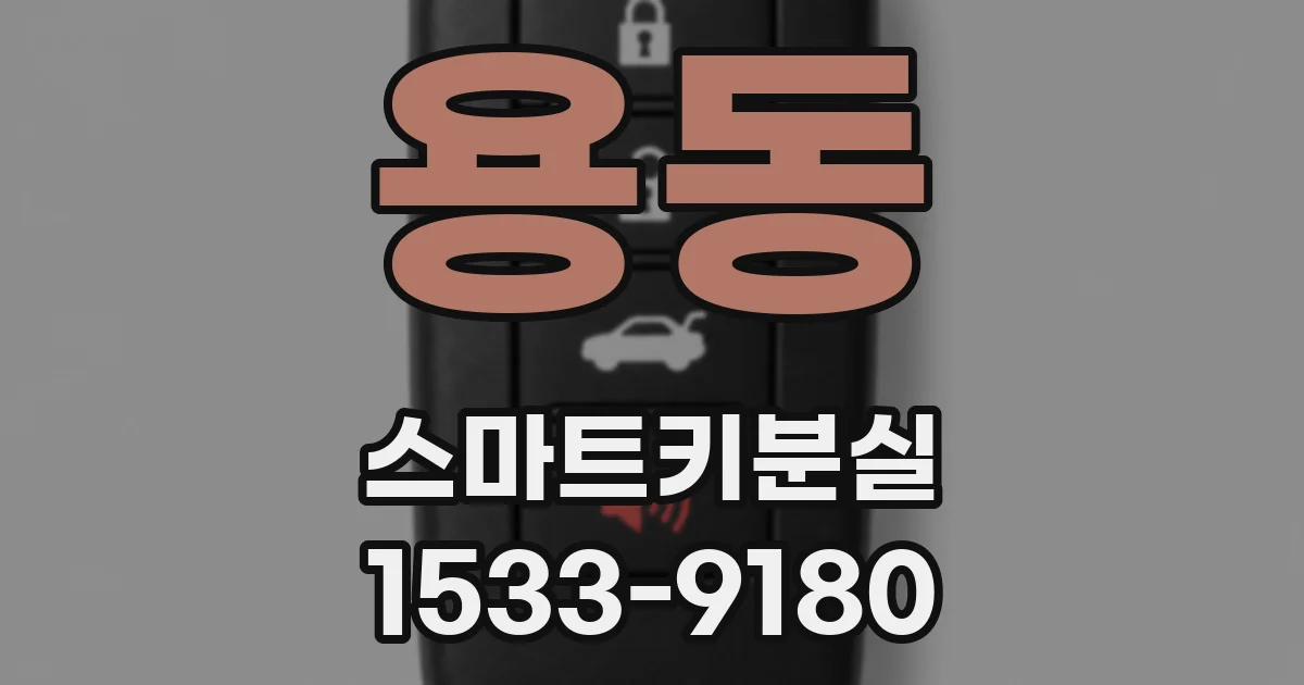 용동 스마트키분실