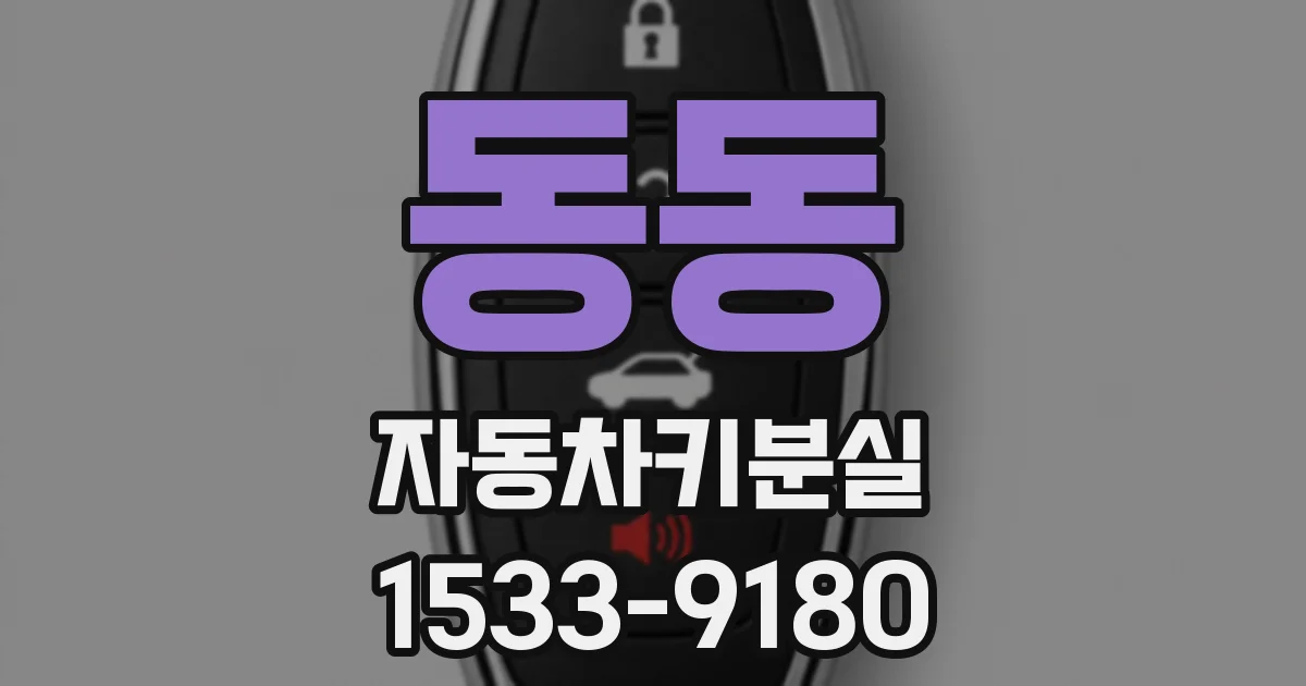동동 자동차키분실