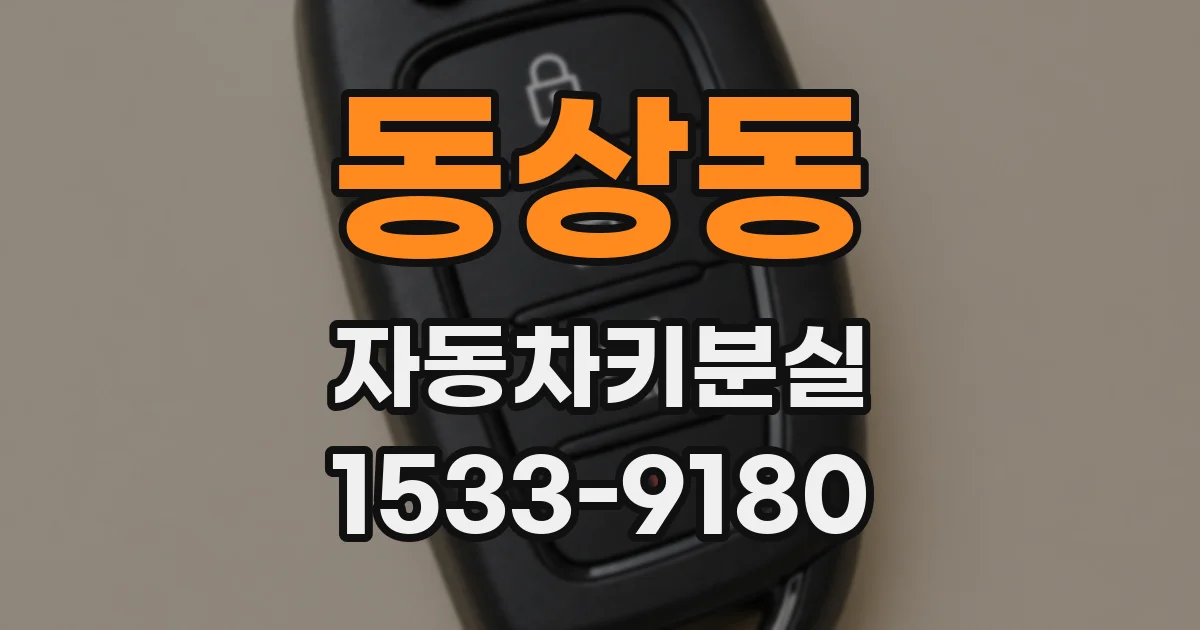 동상동 자동차키분실