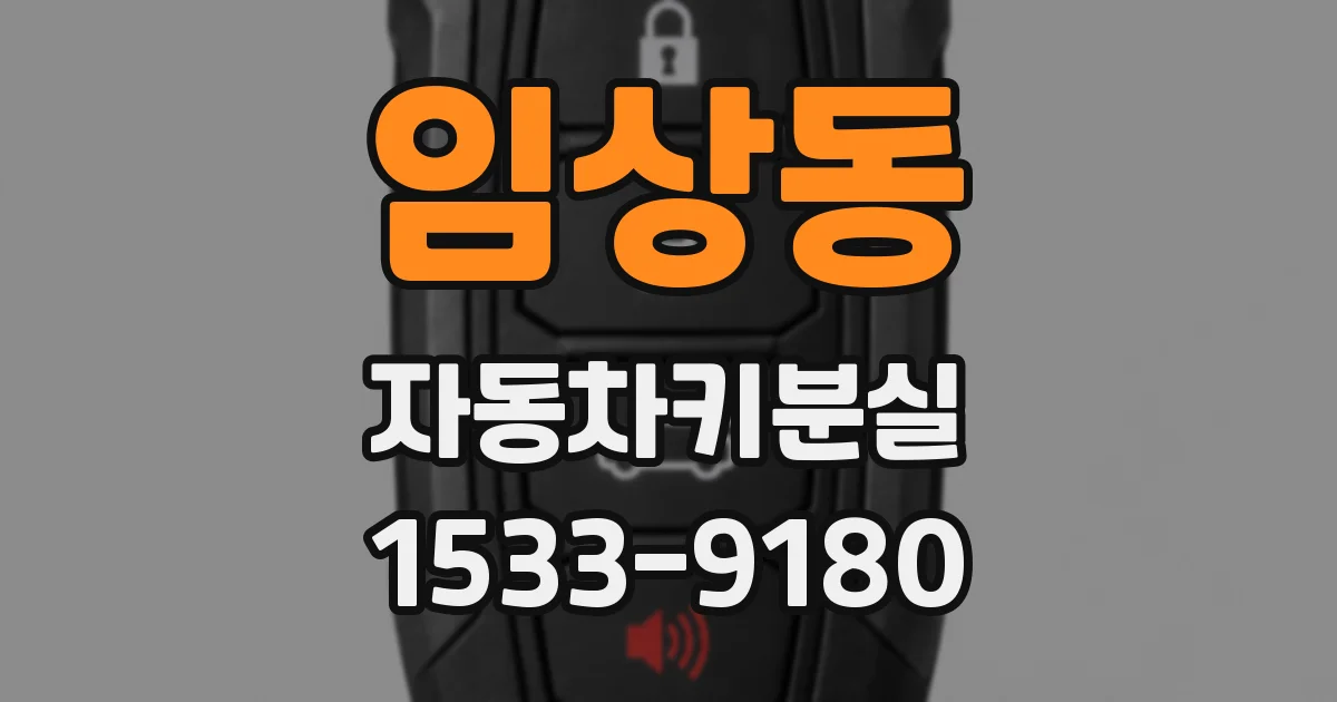 임상동 자동차키분실