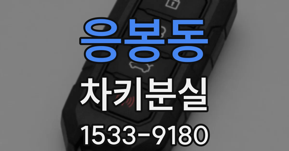 응봉동 차키분실