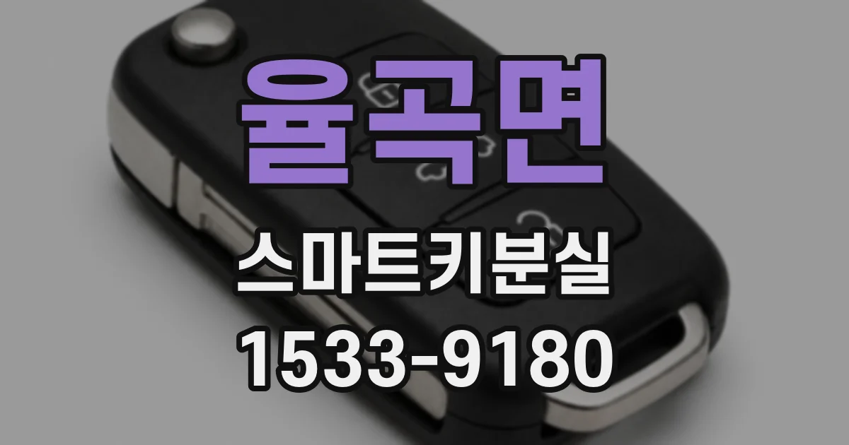 율곡면 스마트키분실