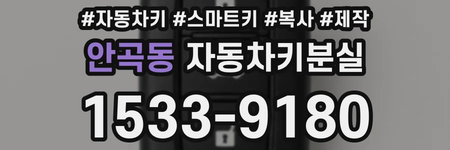 안곡동 자동차키분실