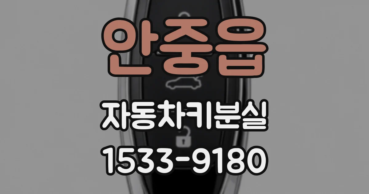 안중읍 자동차키분실