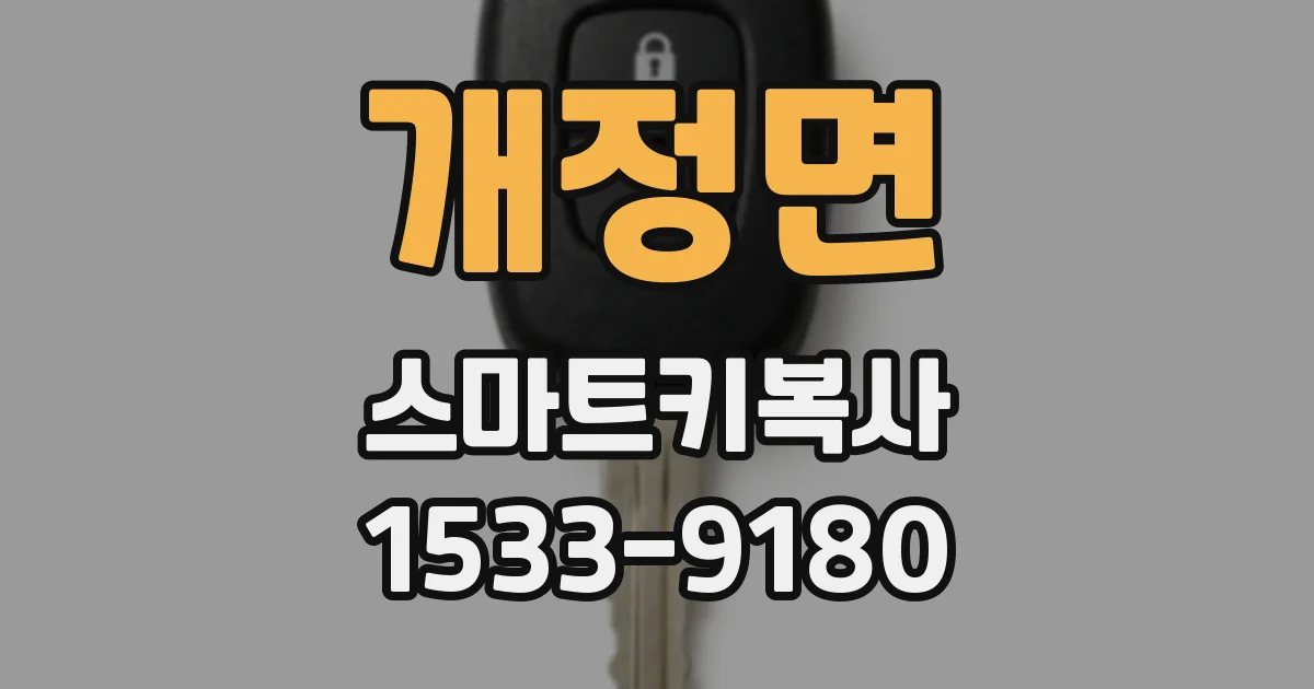 개정면 스마트키복사