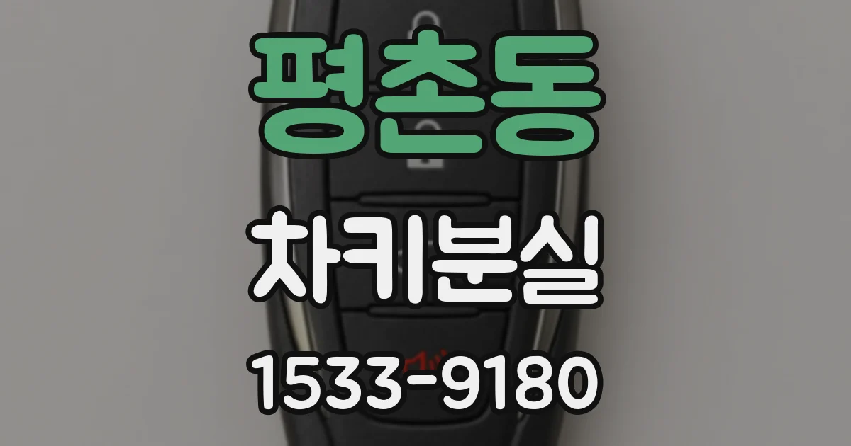 평촌동 차키분실