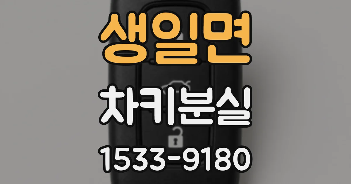 생일면 차키분실