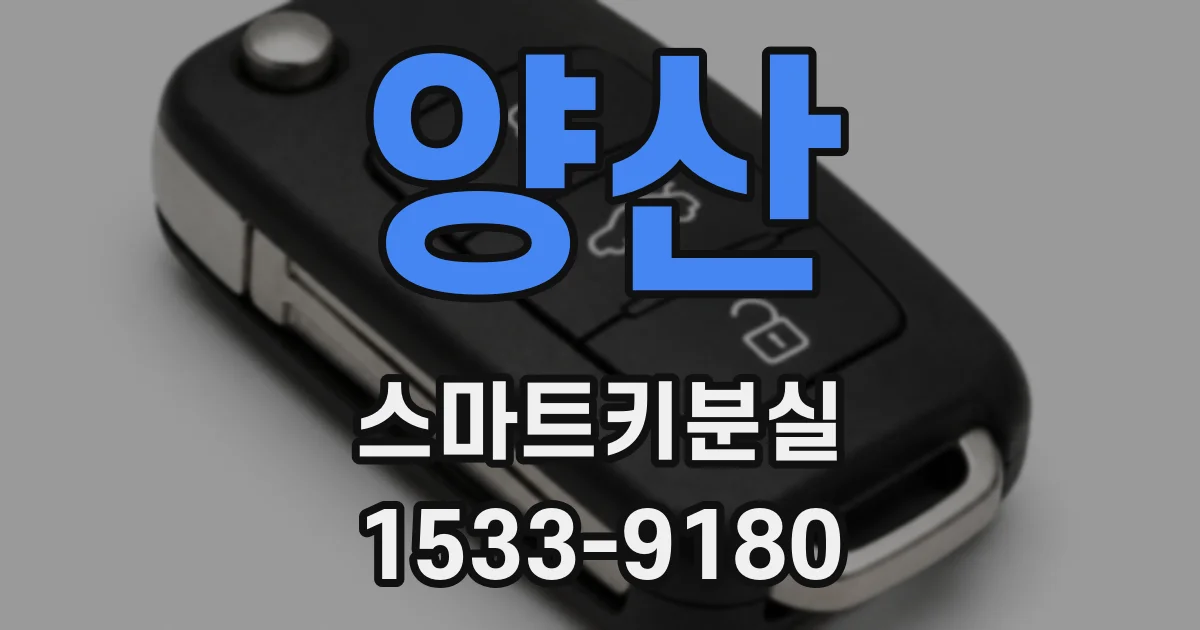 양산 스마트키분실