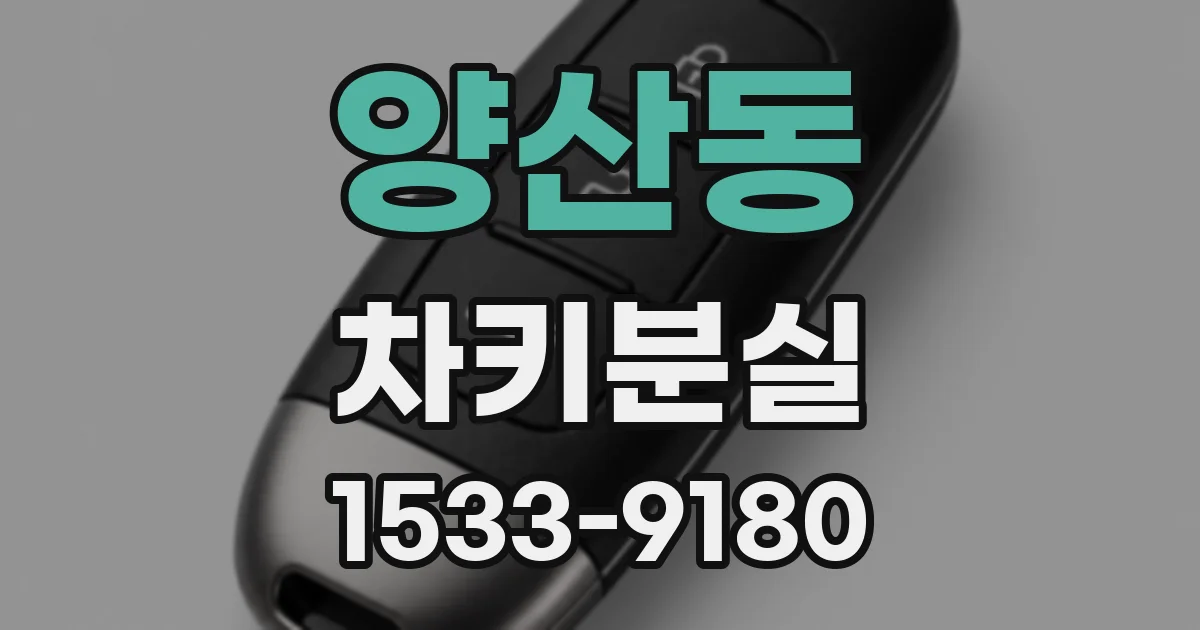 양산동 차키분실