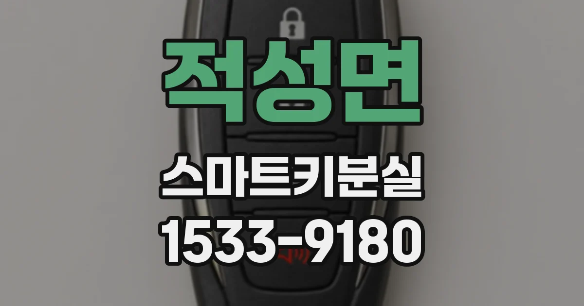적성면 스마트키분실