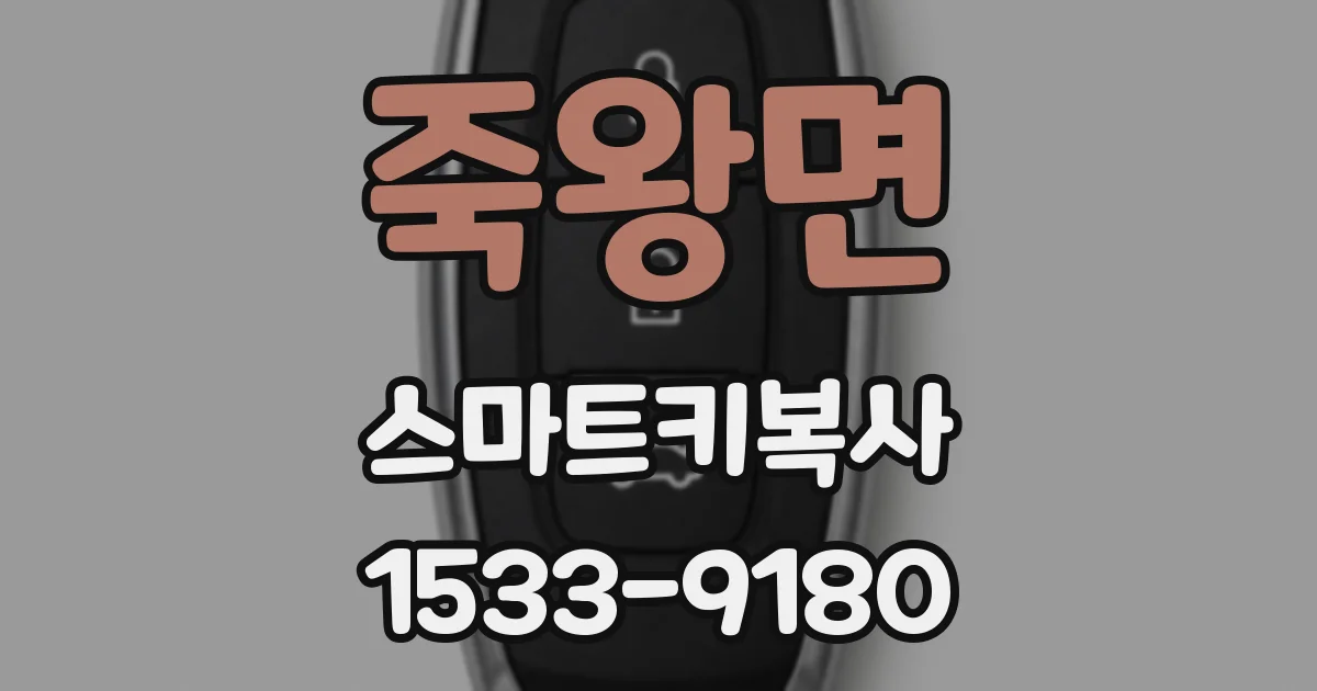 죽왕면 스마트키복사