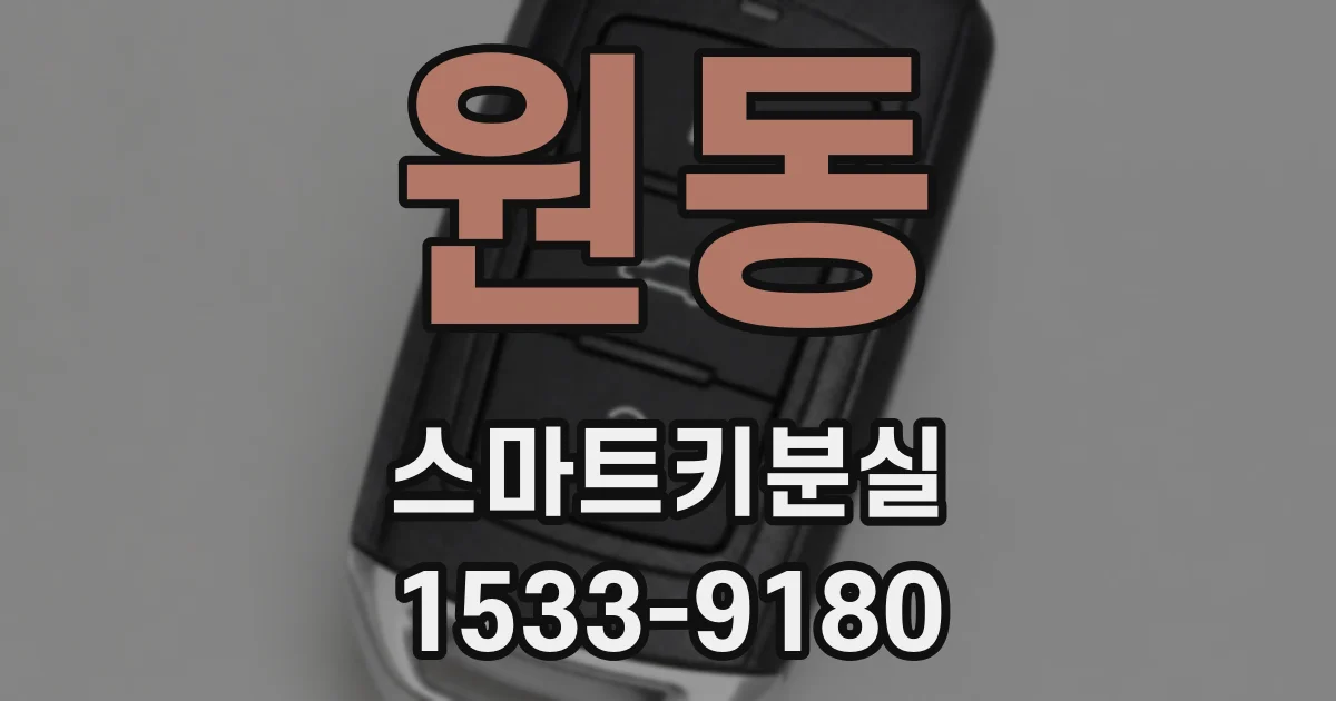 원동 스마트키분실