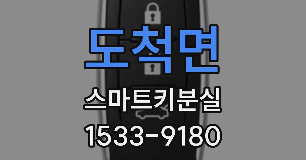 도척면 스마트키분실