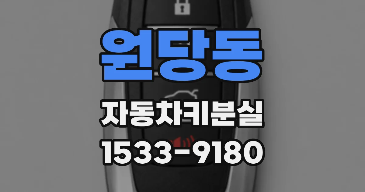 원당동 자동차키분실