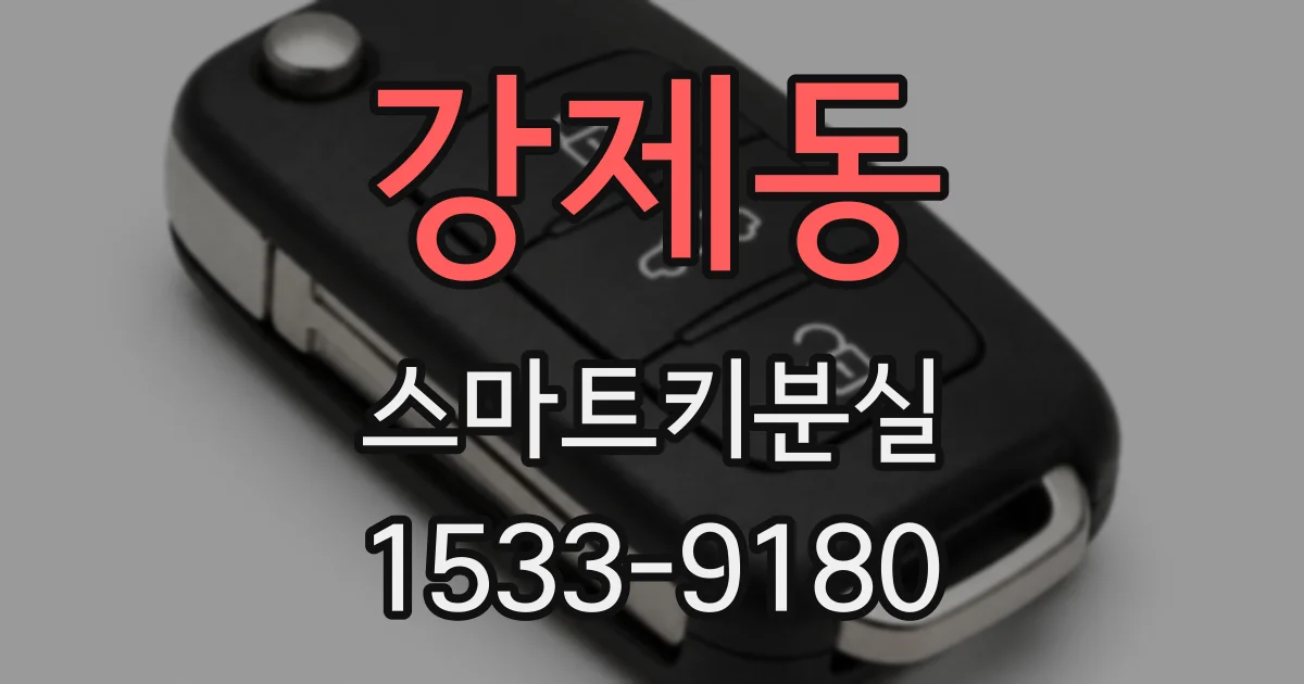 강제동 스마트키분실