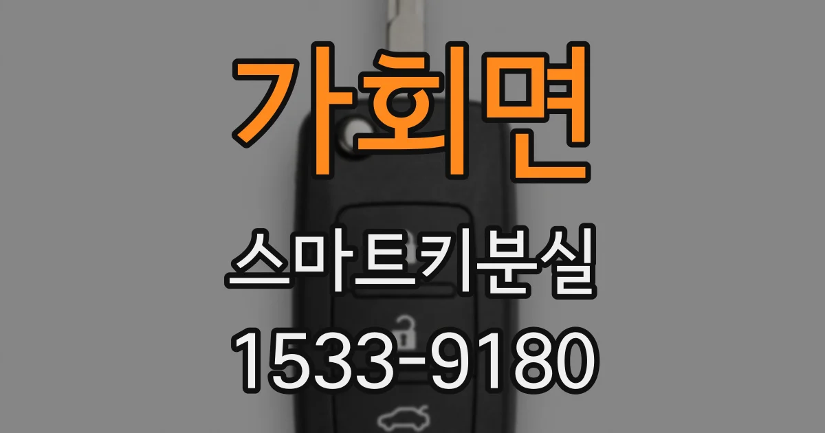 가회면 스마트키분실