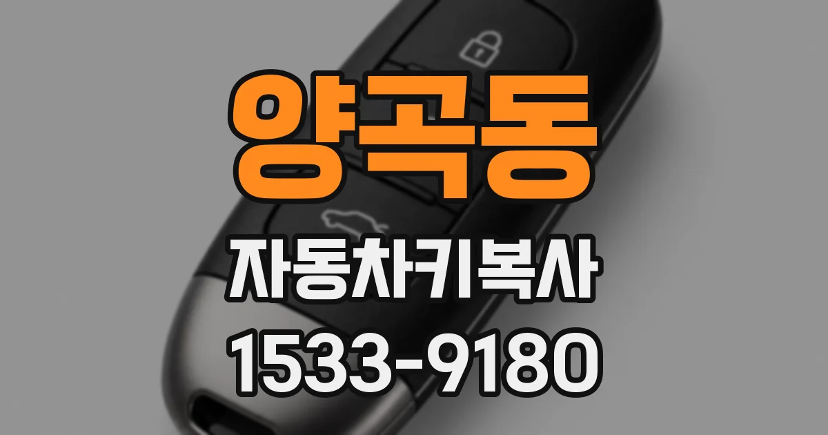 양곡동 자동차키복사