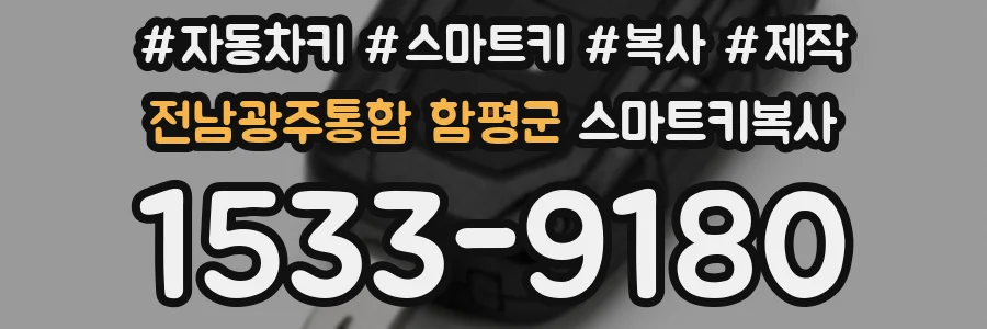 전남광주통합 함평군 스마트키복사