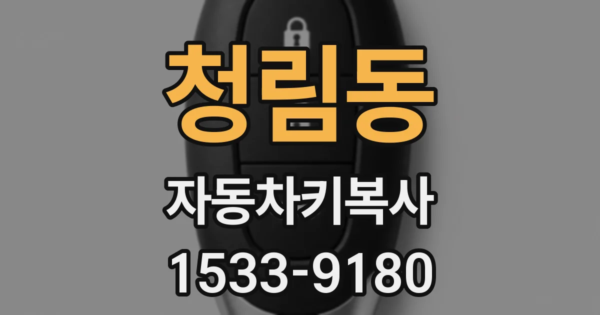 청림동 자동차키복사