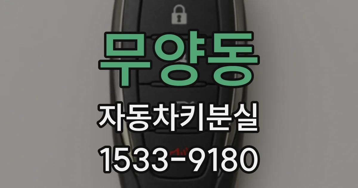 무양동 자동차키분실