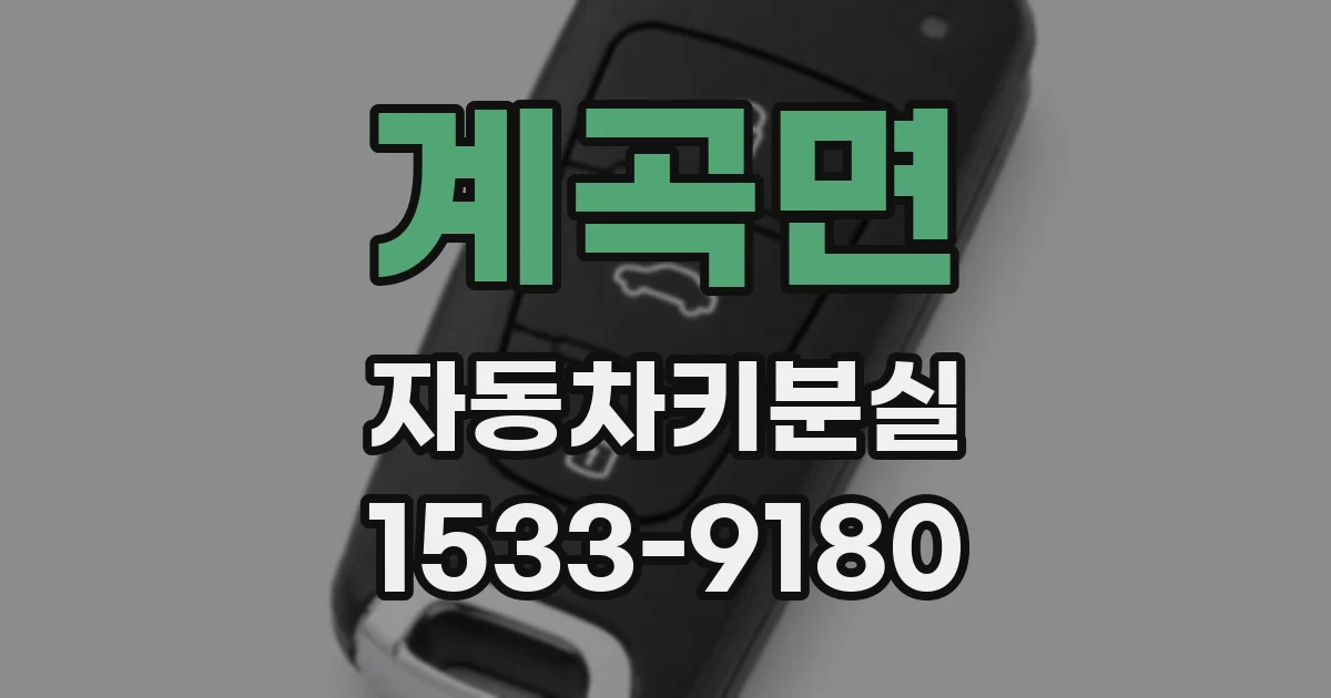 계곡면 자동차키분실