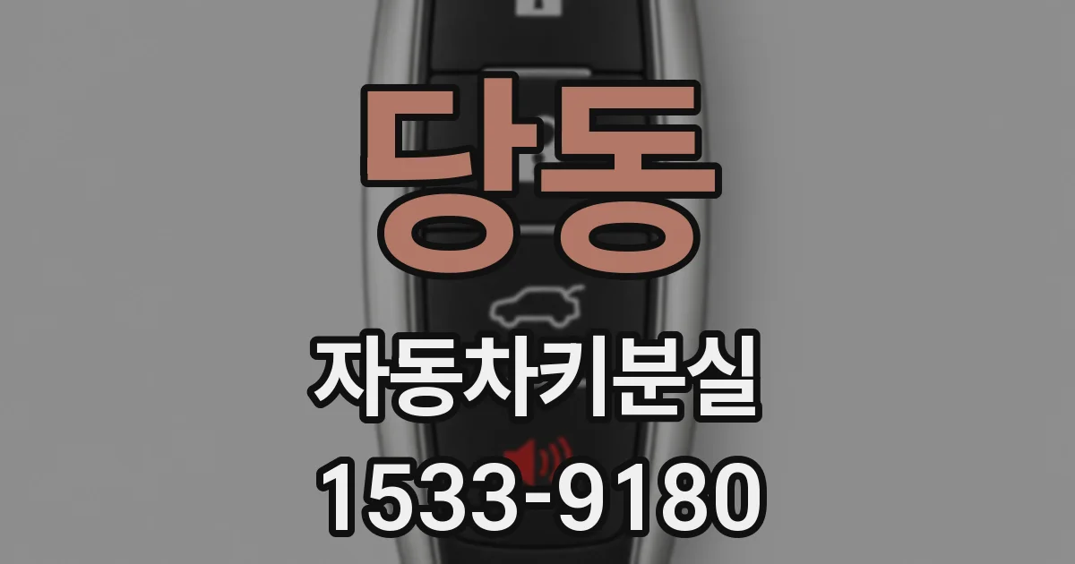 당동 자동차키분실