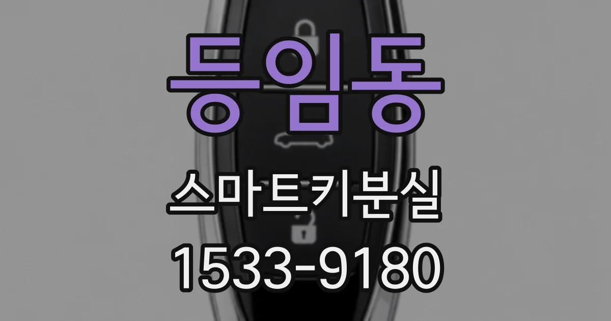 등임동 스마트키분실