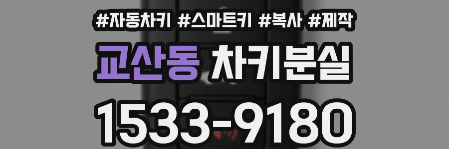 교산동 차키분실