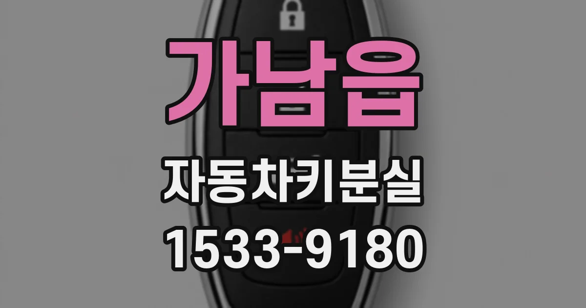 가남읍 자동차키분실