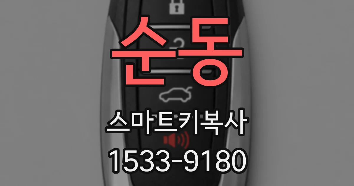 순동 스마트키복사