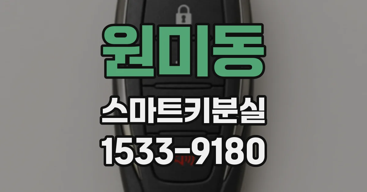 원미동 스마트키분실