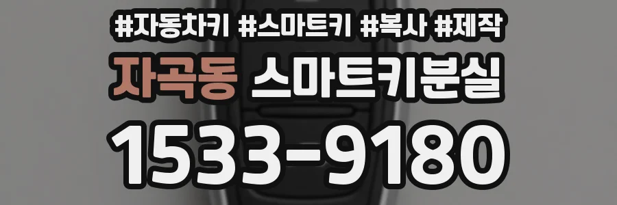 자곡동 스마트키분실